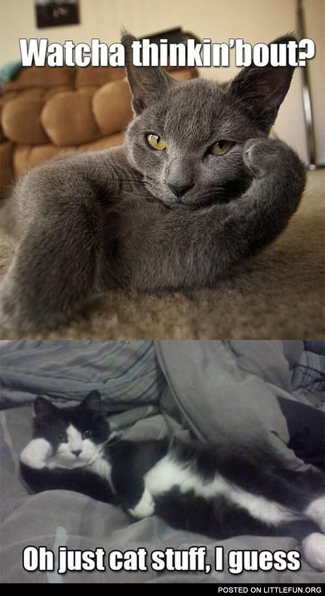 Watcha thinkin'bout?