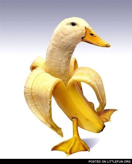 Quack