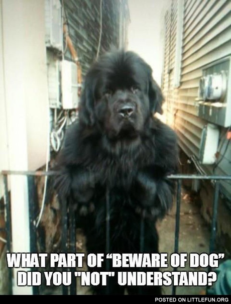 Beware of dog