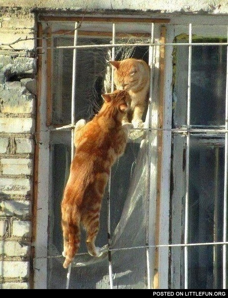 Romeo and Juliet