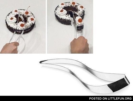 Cake cutter