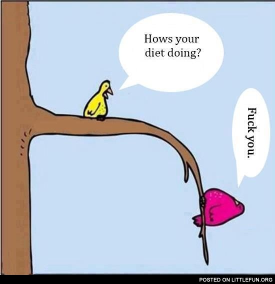 Hows your diet doing?