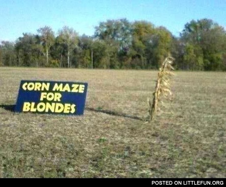 Corn maze