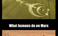 Aliens vs. Humans