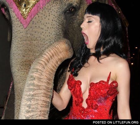 Katy Perry with elephant. Singing or just a reflex?