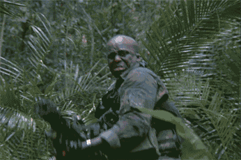 Predator duck hunt