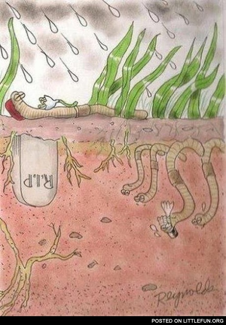 Meanwhile at the parallel Universe. Worms.
