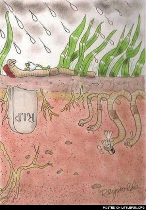 Meanwhile at the parallel Universe. Worms.