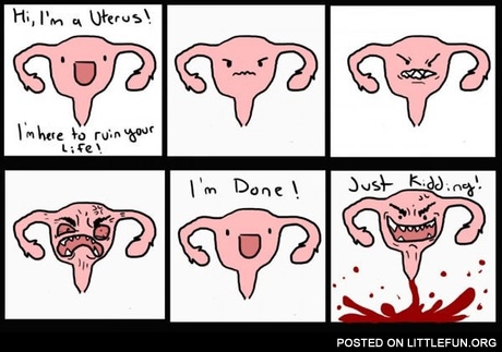 Story Of Girls Life