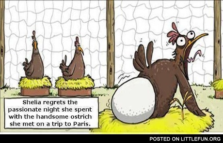 Shelia regrets