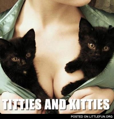 Kitties