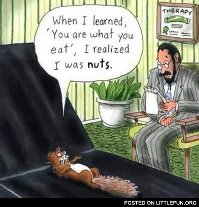 When I learned "You are what you eat" I realized I was nuts.