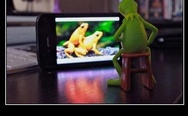 Naughty Kermit