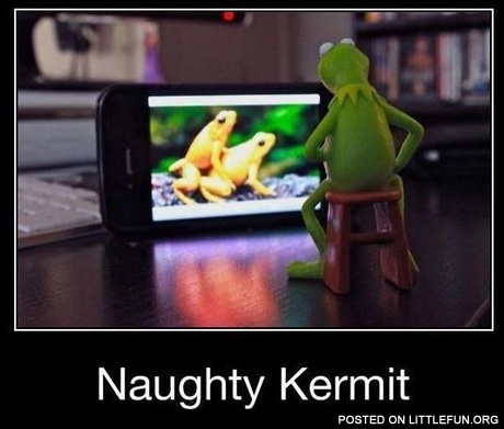 Naughty Kermit