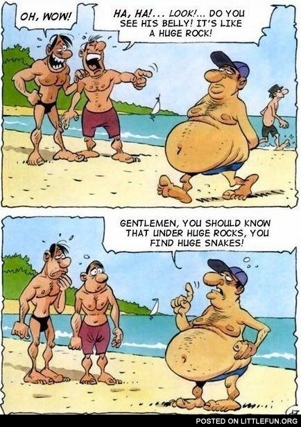 Snake on the beach