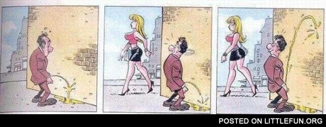 When a sexy lady appears