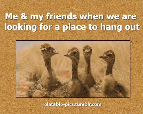 A place to hang out