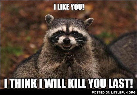Evil raccoon