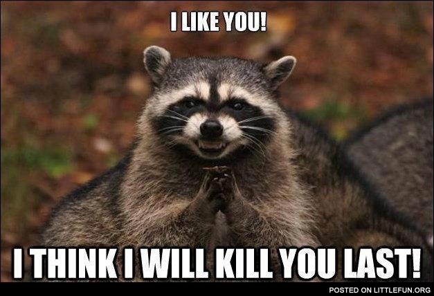 Evil raccoon