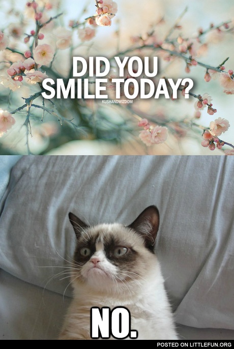 Did you smile today?