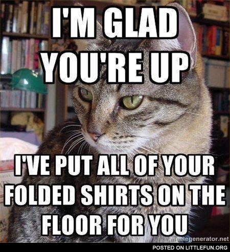 Folded shirts
