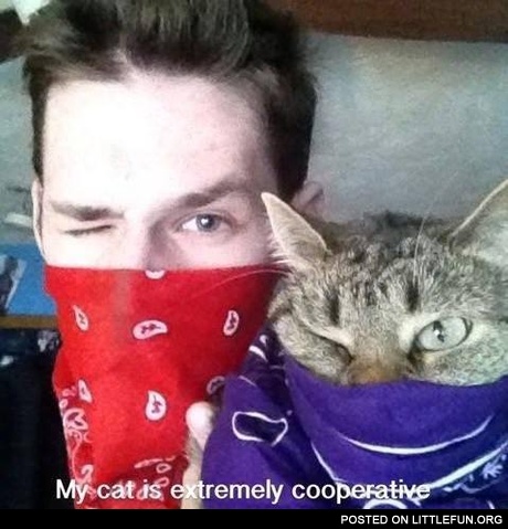 My cat is extremely cooperative