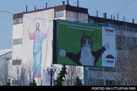 Jesus Cat