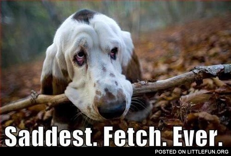Saddest fetch ever