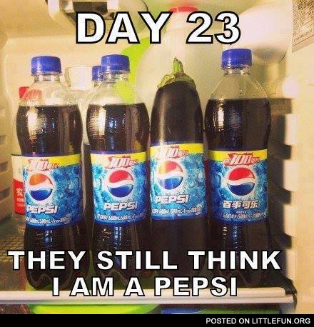 Day 23