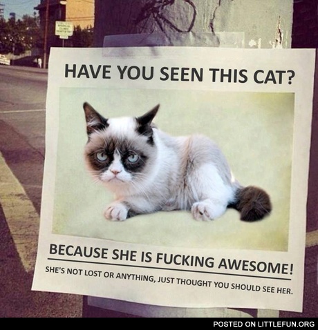 Grumpy. Have you seen him?