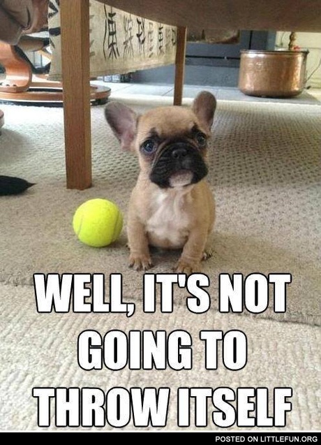 It's not going to throw itself