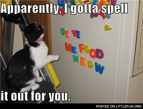 I gotta spell it out for you