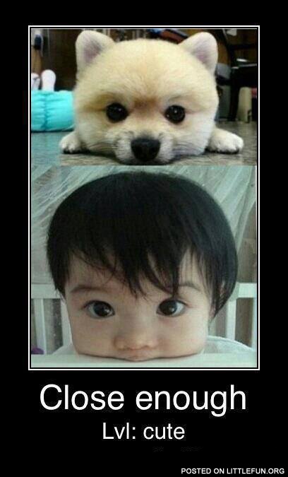Close enough, level: cute