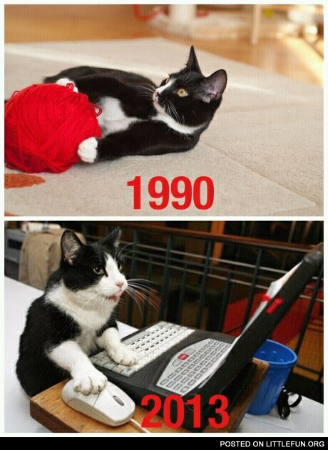 1990 vs. 2013