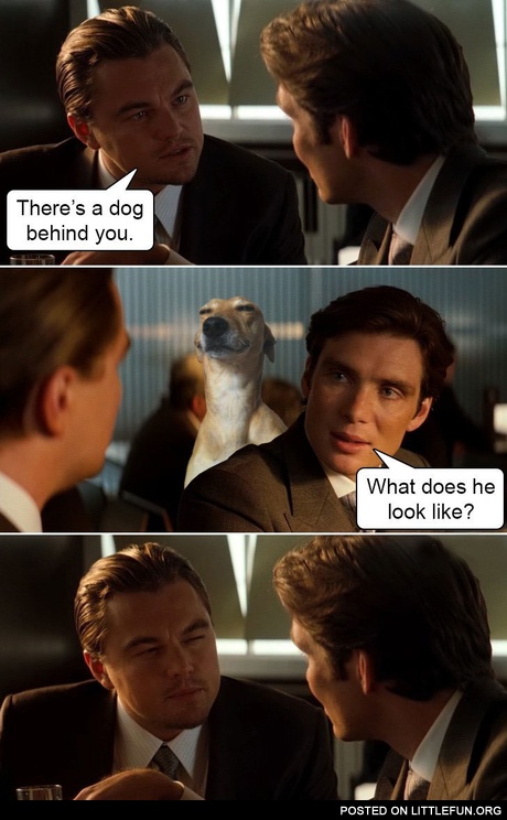 There's a dog behind you