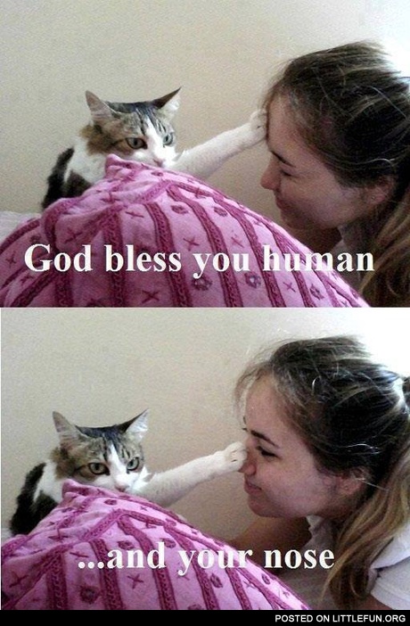 God bless you, human
