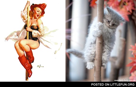 Firewoman vs. Firecat