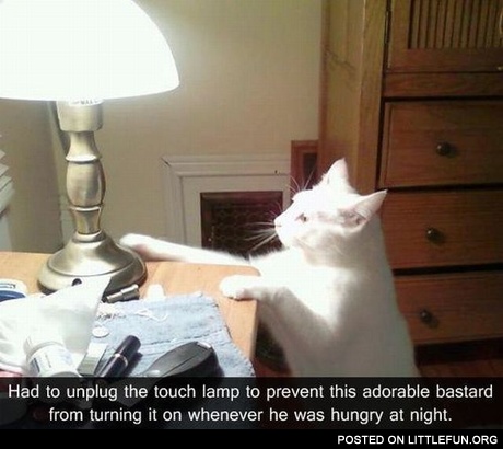 Little b**tard