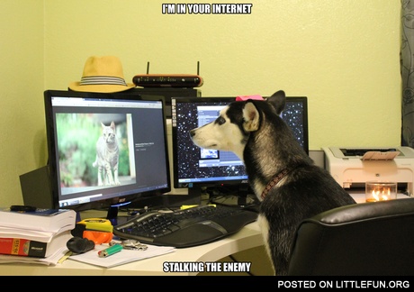 Stalking the enemy