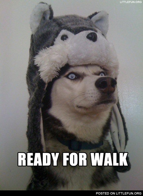 Ready for walk
