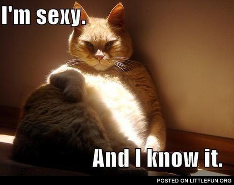 I'm sexy and I know it