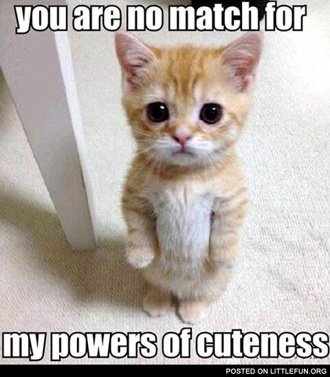You are no match for my powers of cuteness