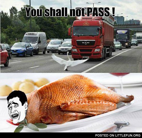 You shall not pass