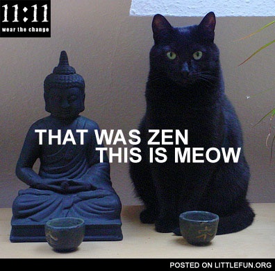 That was Zen