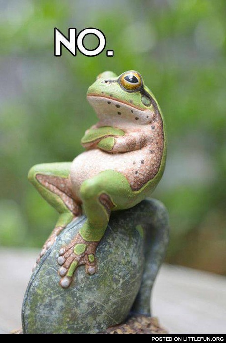 Grumpy frog