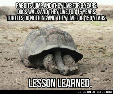 Lesson learned
