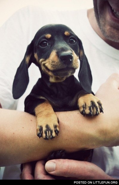 What a face!