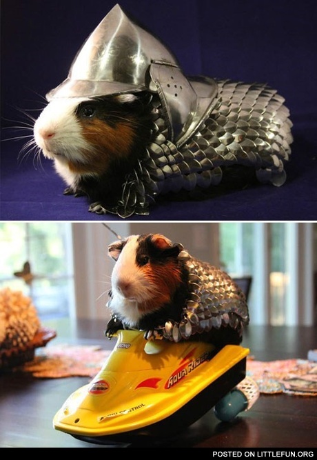 Nice armor you have there