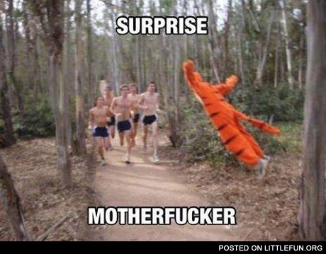 Surprise