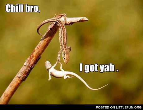 Chill bro